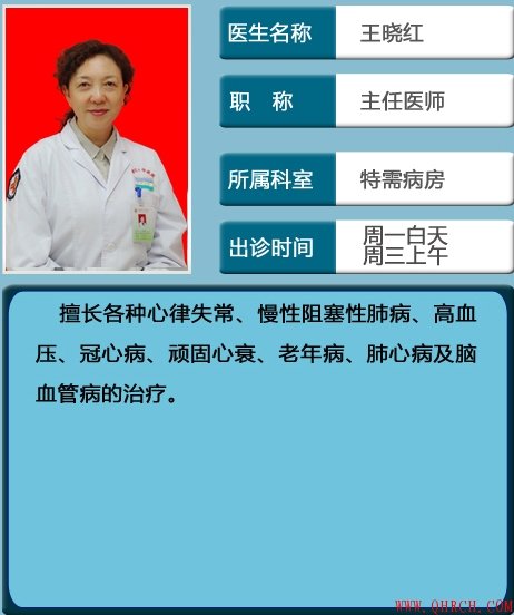 王晓红