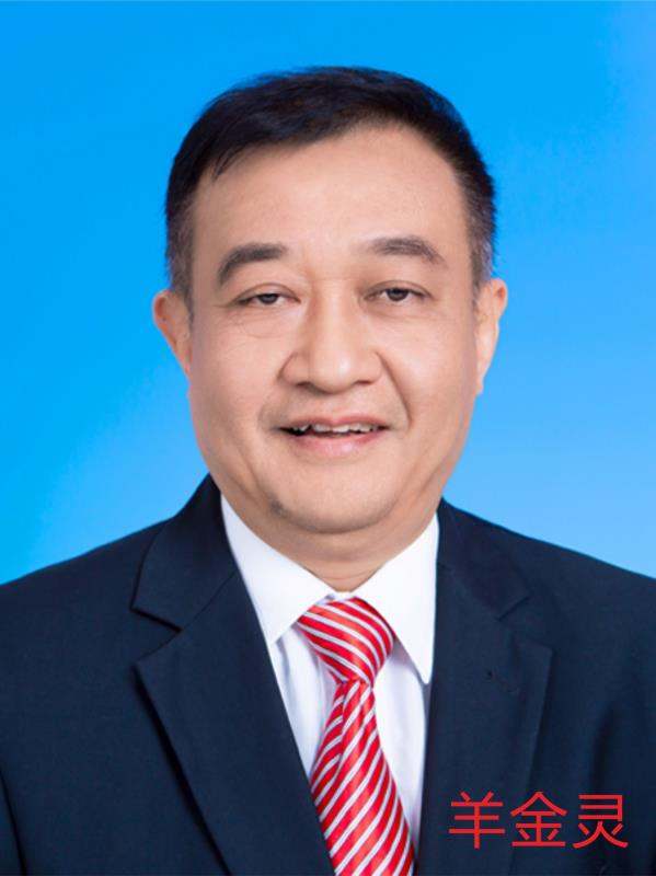 羊金灵