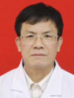 许仕纳