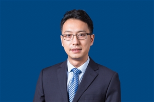 陶杨