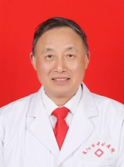 皮敦里