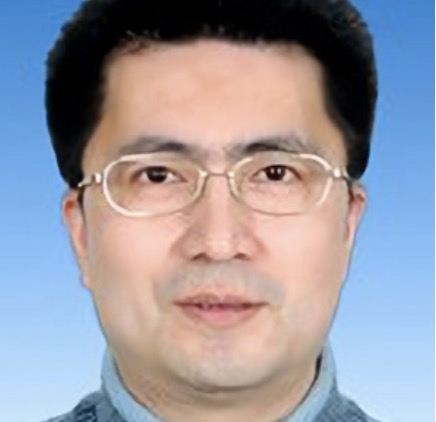 陈琦