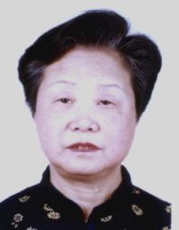 沈公印