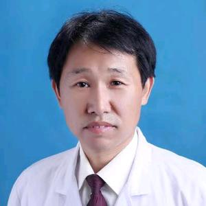 董智
