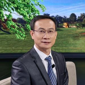 张金锋