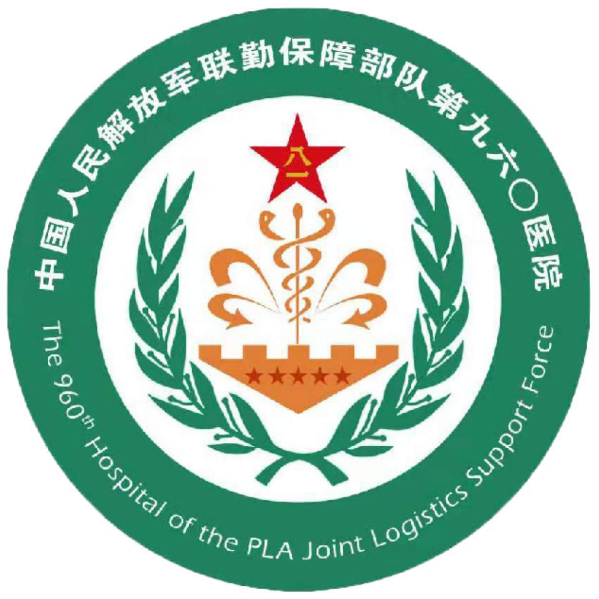 中国人民解放军联勤保障部队第九六〇医院