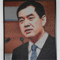 王述民医生