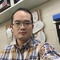 杨文
