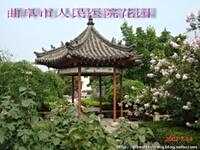 孙慧杰