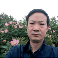 齐献忠