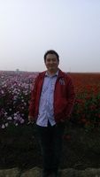 杨旭东