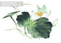 郑泓明