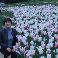 任晓红