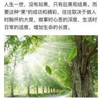 张宁