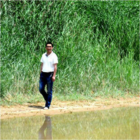 杨云振