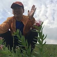 魏斌宏