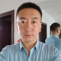 陈力援