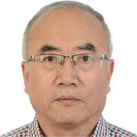 何士平