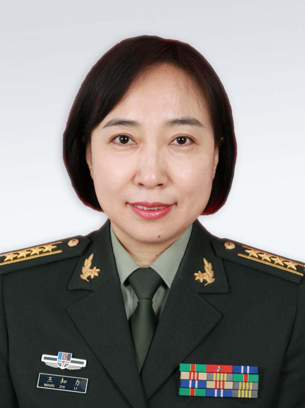 王知力