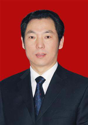 贾如意