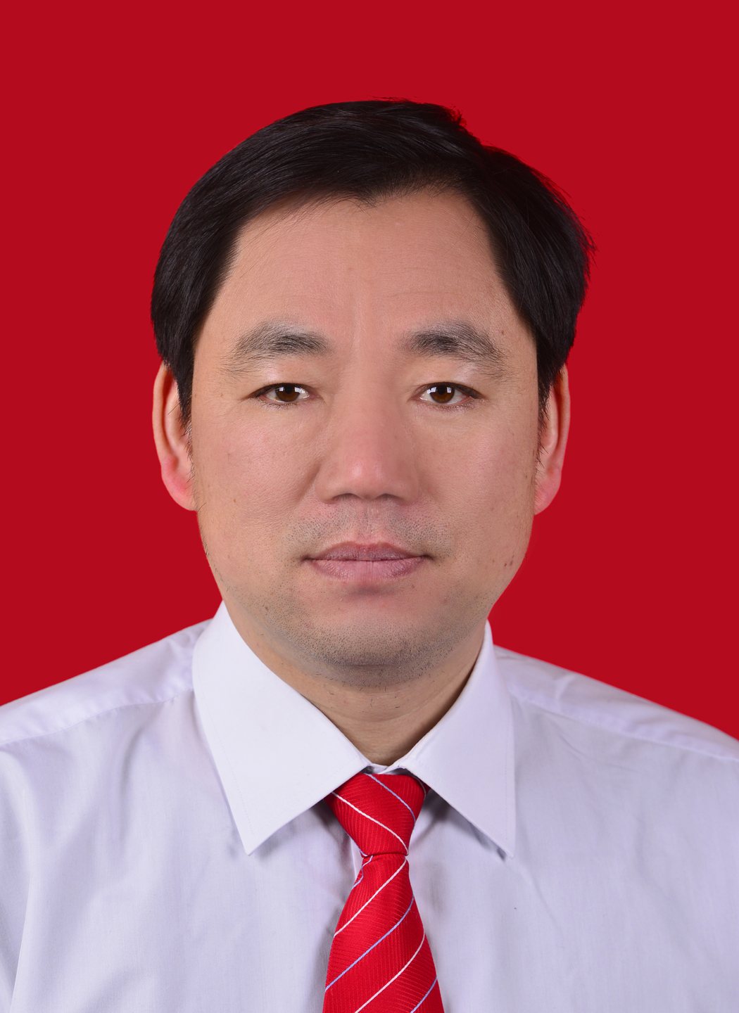 陈瑞红
