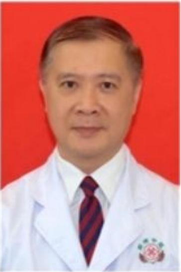 陈雅文