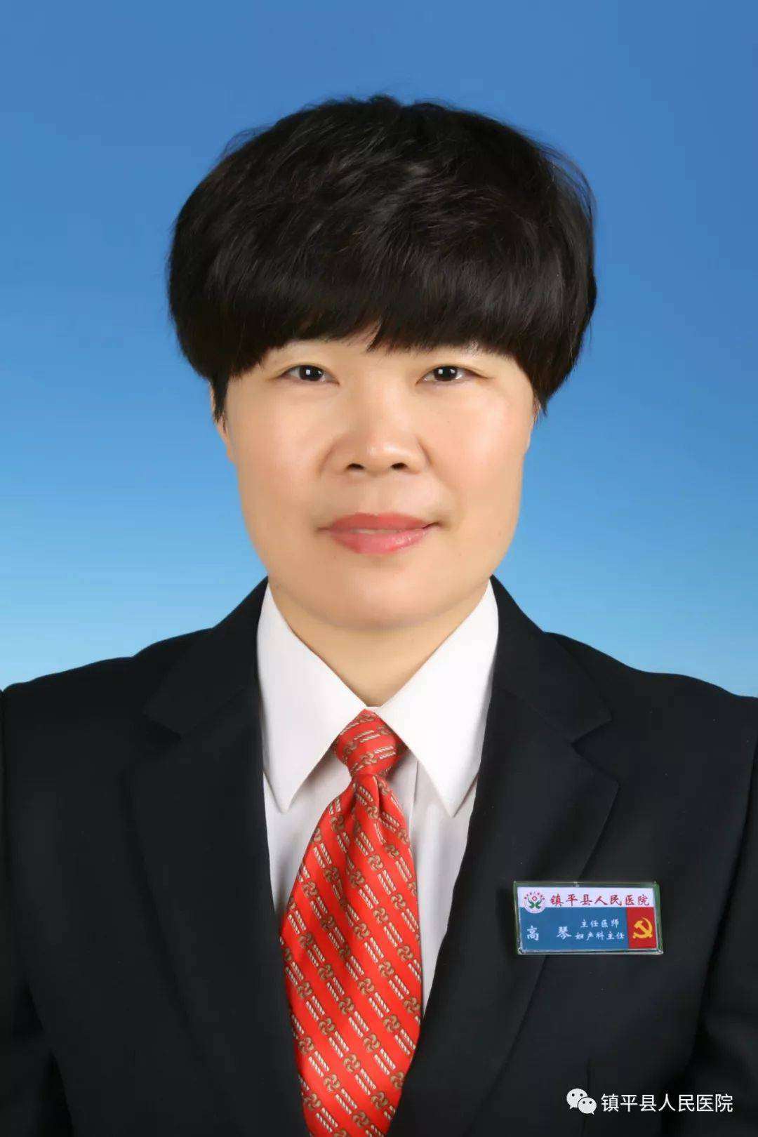 高琴