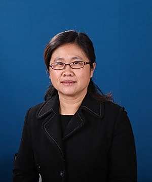 卜新华