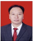 谷井文